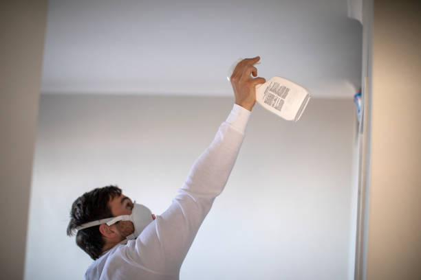 Professional Mold Removal in Farmers Branch, TX