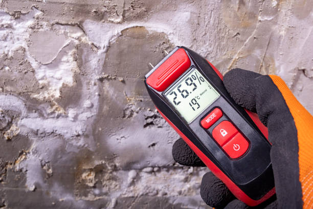 Best Emergency Mold Removal  in Farmers Branch, TX